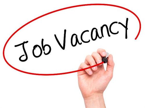No current job vacancies, keep an eye on our page!